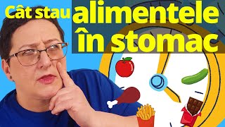 Cât timp stau Alimentele în STOMAC [upl. by Deeas]