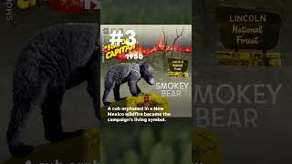 Five facts about Smokey Bears eight decades of American wildfirefighting iconography  USA TODAY [upl. by Eiffe563]