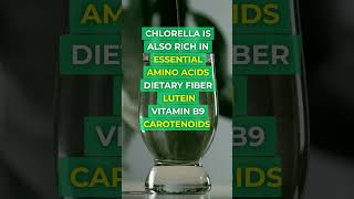 CHLORELLA  Ancient Superfood [upl. by Locin]