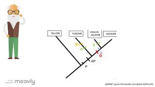 CAPACITE Exploiter un arbre phylogénétique [upl. by Reginnej]