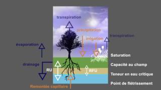 1 3 FACILITATION ET BILAN HYDRIQUE [upl. by Cissej96]