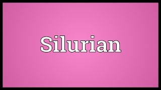 Silurian Meaning [upl. by Airottiv]