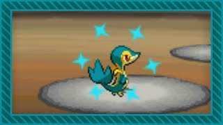 LIVE Shiny Snivy after 19524 SRs in White DTQ 1 [upl. by Larimore]