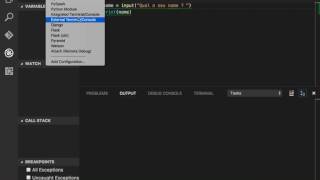 Python  VSCode Resolvendo problema de input [upl. by Arda]