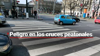 ¿Peatones en PELIGRO  Automovilistas NO siguen reglas de tránsito y afectan cruces peatonales [upl. by Aeniah146]