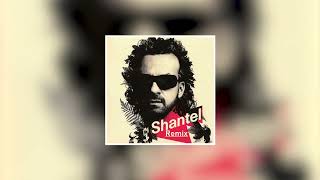 Andante Levante  Shantel Teemario Remix [upl. by Esertap326]