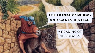 The Donkey speaks The Story of Balaam [upl. by Notrem784]