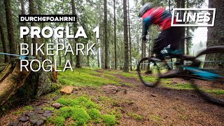 Bike Park Rogla  Progla 1  LINES [upl. by Eisenberg]