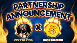 BabyCATE اعلان شراكه من قناتي الي مشروع Crypto King channel Partnership with  BabyCATE 👀🚀 [upl. by Nester792]