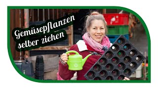 Jungpflanzenanzucht 🌱 Gemüsepflanzen selber ziehen🌱 Unsere Ausstattung für Jungpflanzen [upl. by Valenka697]