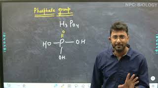 Lec  16  Nucleic Acid  part 2  Nucleotide  Biomolecule class 11 and NEET [upl. by Guild]