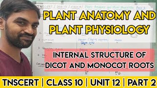 Introduction Plant Physiology  Unit 6  Class 9  Tamil [upl. by Orapma]