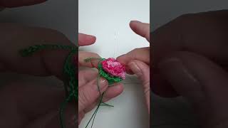 Crochet Carnation Flower 🌸 Beautiful Project Bloom of the January Babies Perfectly Personalized [upl. by Al]