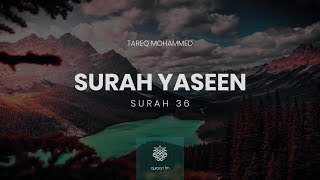 Surah Yaseen  QariTareqMohammed  سورة يس  القارئ طارق محمد [upl. by Fabrice]