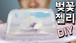 샤랄라 이쁜 벚꽃 젤리 만들기  How to make cherry blossom gummy  신박한 젤리  알쿡 R Cook [upl. by Semmes160]