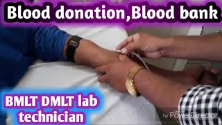 Blood donation process  Blood bank Blood Donation  Blood Bank Blood Collection [upl. by Froehlich155]