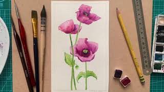 Wild Poppy Watercolour Tutorial for Beginners [upl. by Ilyk]