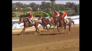 6e course  Prix de lArmec  PS arabes  1900 m [upl. by Niawtna535]