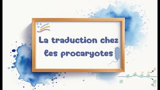 la traduction chez les procaryotes [upl. by Olraced969]