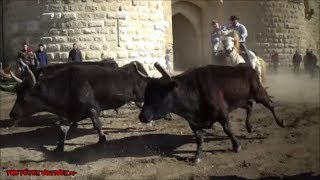 Journée Taurine à Aigues Mortes Fête dHiver 2019 [upl. by Phebe890]