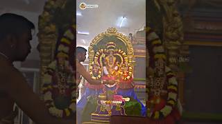 Intha Siva Ketta Vantha Nallavana Mattumtha Irukkanum  murugan whatsapp status  trending murugan [upl. by Meela]