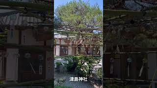 愛知県の津島神社、斎館前に飾られた風鈴🎐 [upl. by Raila340]