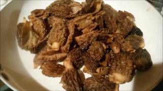 How to Prep and Cook Morel Mushrooms aka Morchella 7min 11sec video [upl. by Acinor]