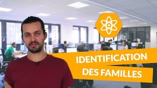 Identification des familles  Physiquechimie  TS  digiSchool [upl. by Vince]