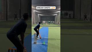 Batsman Dream Shots 🏏🔥 Cricket Batting Class With Out Of World Stylish Shots cricket shorts [upl. by Lynelle]