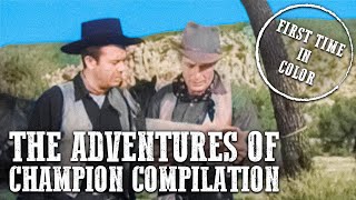 The Adventures of Champion Compilation  COLORIZED  Western Series [upl. by Kayla349]