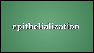 Epithelialization Meaning [upl. by Suitangi680]