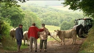 LES HOLLANDAIS DANS LE MORVAN [upl. by Elbart729]