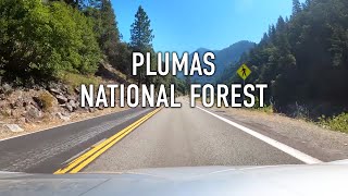 Plumas National Forest Scenic Drive in 4K [upl. by Aronoh]