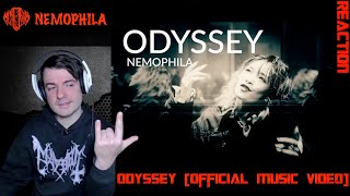 Nemophila  Odissey Official music video REACTION [upl. by Netsriik]