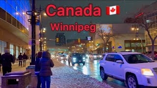 УКРАИНЦЫ МАССОВО ЕДУТ В КАНАДУ 🇨🇦 Хоккей в городе Winnipeg 🔵 февраль 2024 [upl. by Abih]