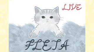 오버워치 플레타 Fleta 피드백 [upl. by Salangia65]