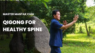 Qigong for Healthy Spine Take care of your Spinal Cord with Master Mantak Chia☯️ [upl. by Aruabea]