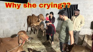 Raat ko baby aa gya hai or first time milking [upl. by Lizzy261]