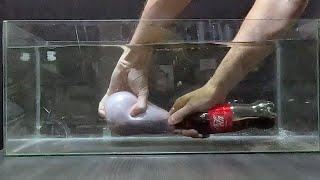 Cola mentos EXPERIMENT [upl. by Loriner]