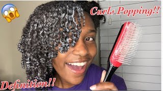 I Tried The DENMAN BRUSH For My Curls  I’m Shook [upl. by Lavina]