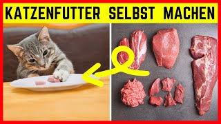 Katzenfutter selbst zubereiten – Kochen Barfen oder Fertigfutter [upl. by Freed]