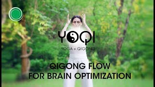 Qigong Flow For Brain Optimization [upl. by Nilram]