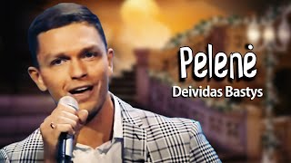 Deividas Bastys  Pelenė Lyric Video Gražiausios Poetų Dainos [upl. by Attlee310]