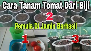 Cara Menanam Tomat Dari Biji Bagi Pemula Tips dan Tutorial [upl. by Newbold]