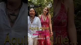 nouveau vidéo clip Águila Aguile andeanmusic pop aguila newagemusic [upl. by Jareen]