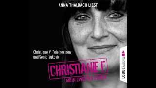 Felscherinow und Vukovic Christiane F Mein zweites Leben [upl. by Yrogerg71]