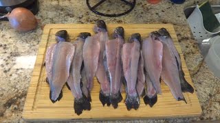 How To Cook Clean and Gut a Rainbow Trout With Step by Step Instructions and Demonstration [upl. by Lav369]