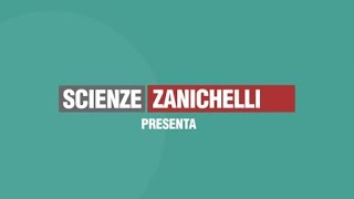 Come si prepara una soluzione  Scienze Zanichelli [upl. by Daye582]