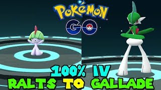 Evolving RALTS TO GALLADE IN POKEMON GO  NEW SHINNOH STONE EVOLUTION [upl. by Esilehc]