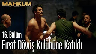 Fırat dövüş kulübüne katıldı  Mahkum 16 Bölüm [upl. by Hannie]